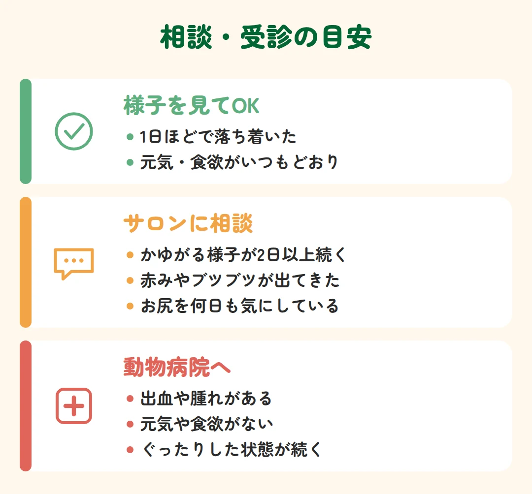 様子を見てよい場合、サロンに相談する場合、動物病院を受診する場合の目安