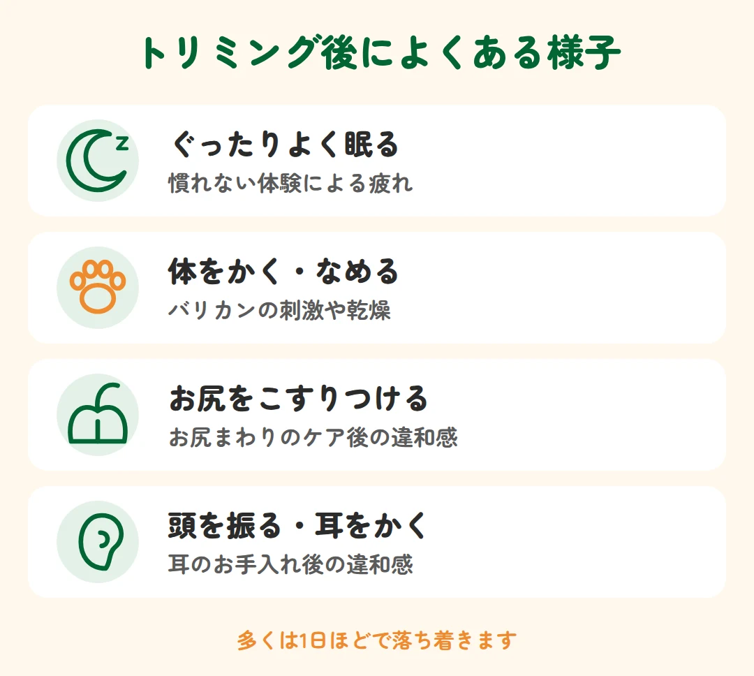 ぐったり眠る、体をかく・なめる、お尻をこすりつける、頭を振る・耳をかくなど、トリミング後によくある様子と理由