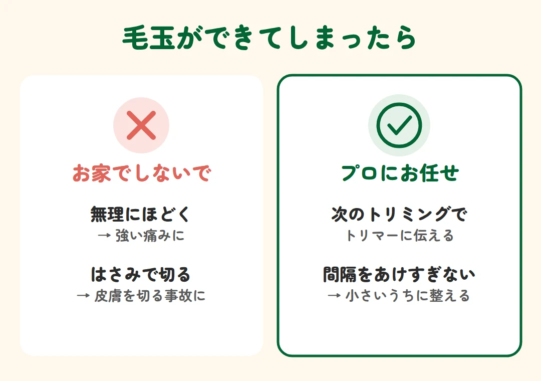 お家で無理にほどいたりはさみで切ったりせず、次のトリミングでトリマーに任せる