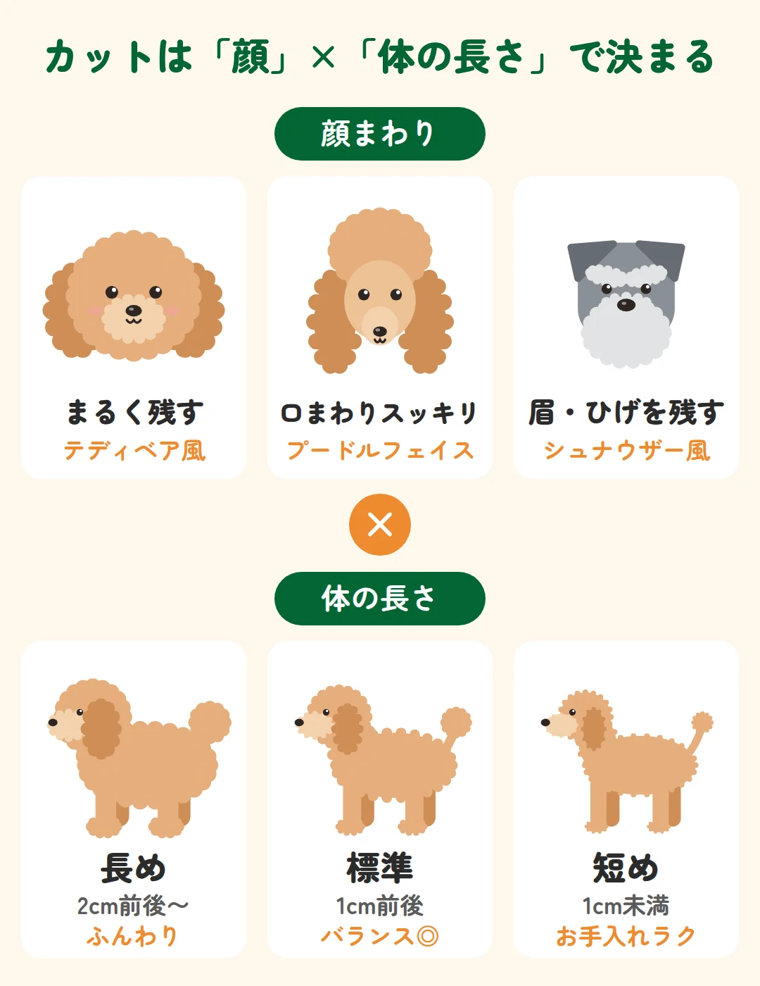 顔まわりの3タイプ(まるく残す・口まわりスッキリ・眉ひげを残す)と体の長さ3段階(長め・標準・短め)の図解