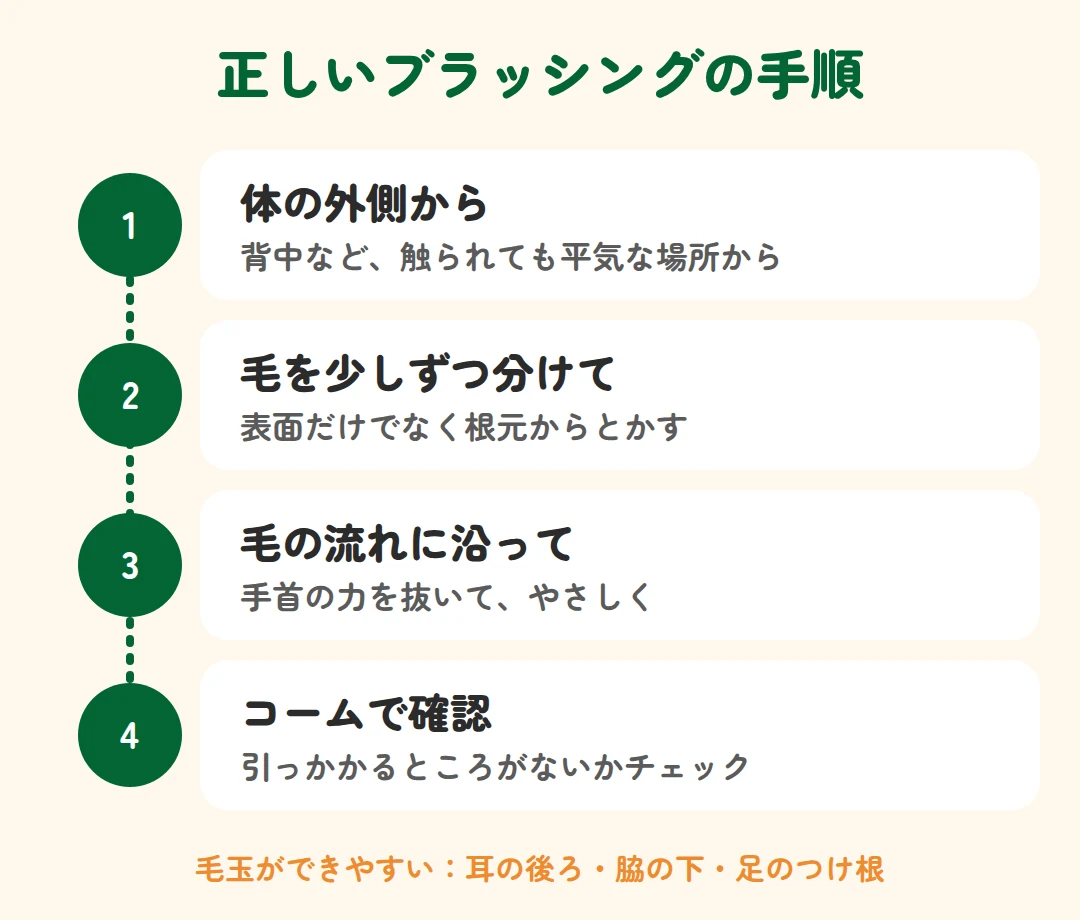 体の外側から、毛を少しずつ分けて、毛の流れに沿って、最後にコームで確認する手順