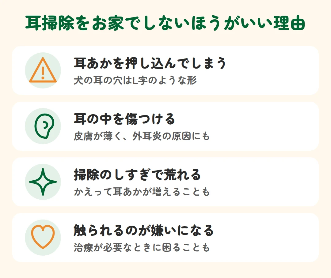 耳あかを押し込んでしまう、耳の中を傷つける、掃除のしすぎで荒れる、触られるのが嫌いになる