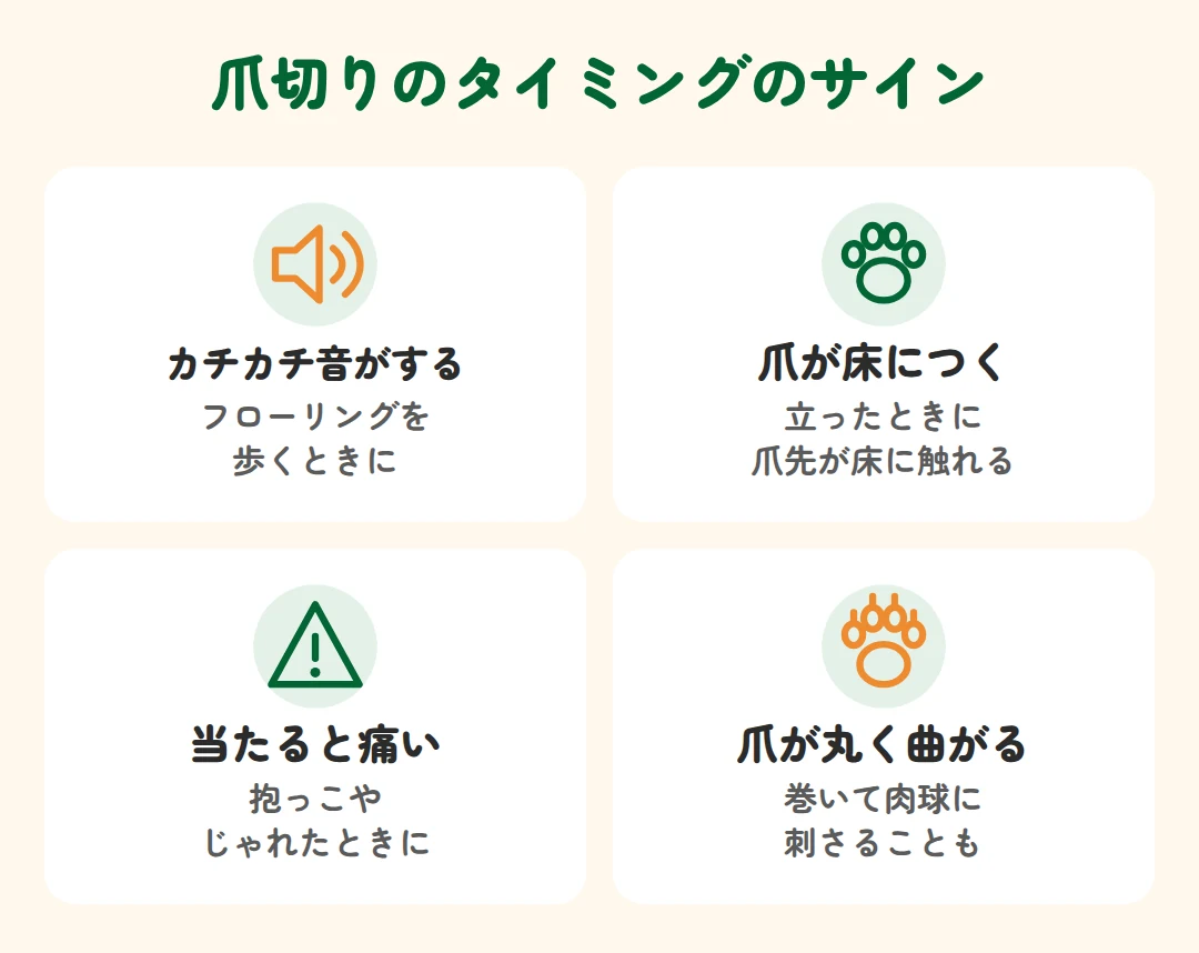 カチカチ音がする、爪が床につく、当たると痛い、爪が丸く曲がる