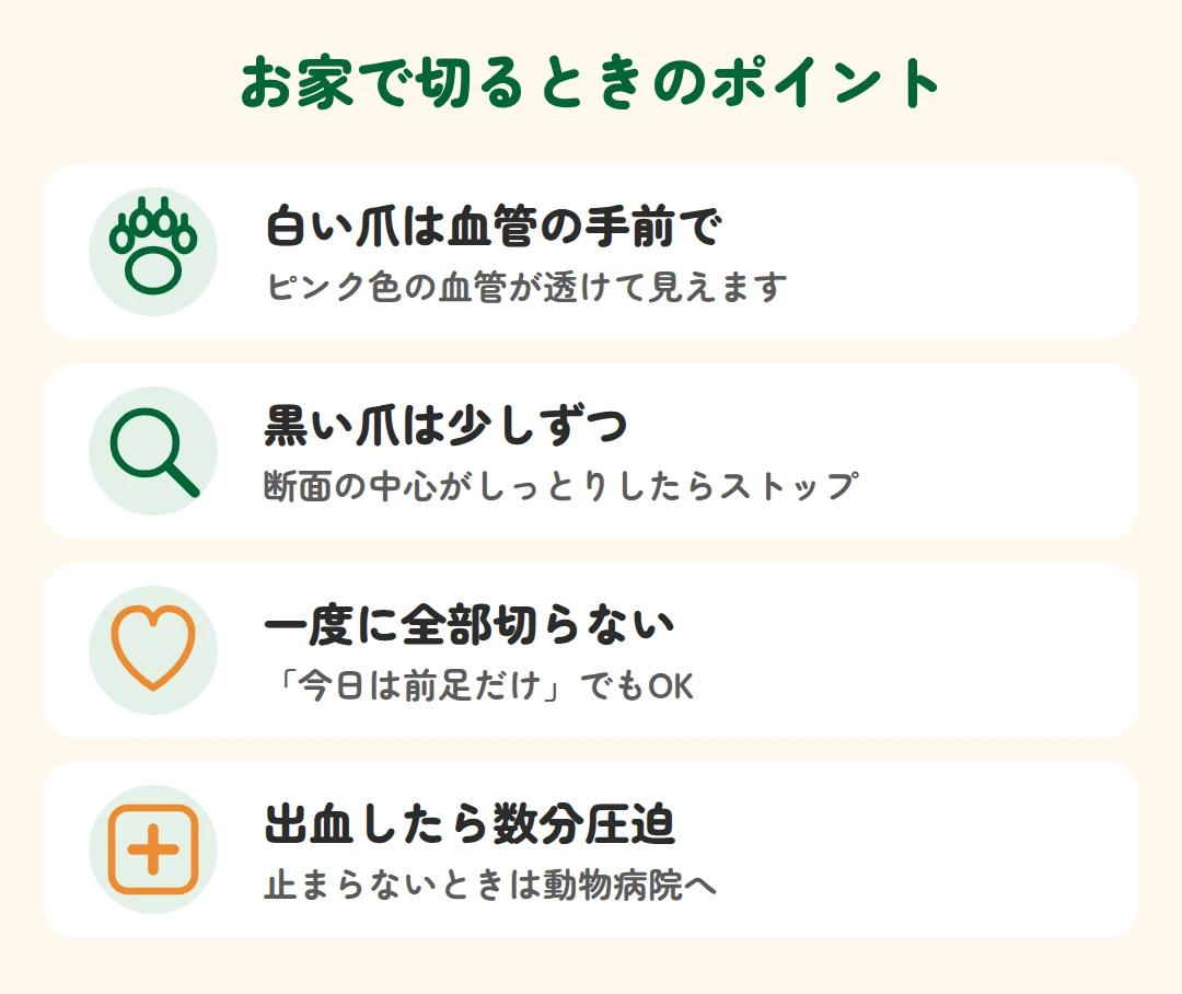 白い爪は血管の手前で、黒い爪は少しずつ、一度に全部切らない、出血したら数分圧迫