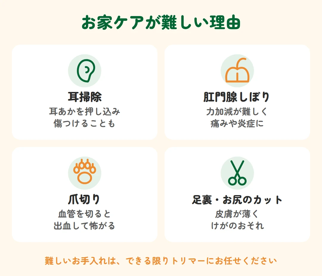 耳掃除、肛門腺しぼり、爪切り、足裏・お尻のカットは、お家で行うと耳や皮膚を傷つけたり痛みや出血につながったりするおそれがある