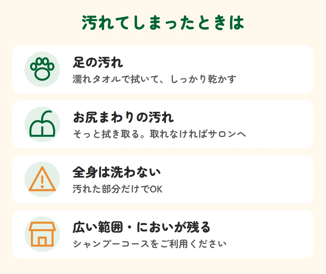 足やお尻の汚れは濡れタオルで拭き取り、全身は洗わず、広い範囲の汚れやにおいはシャンプーコースへ