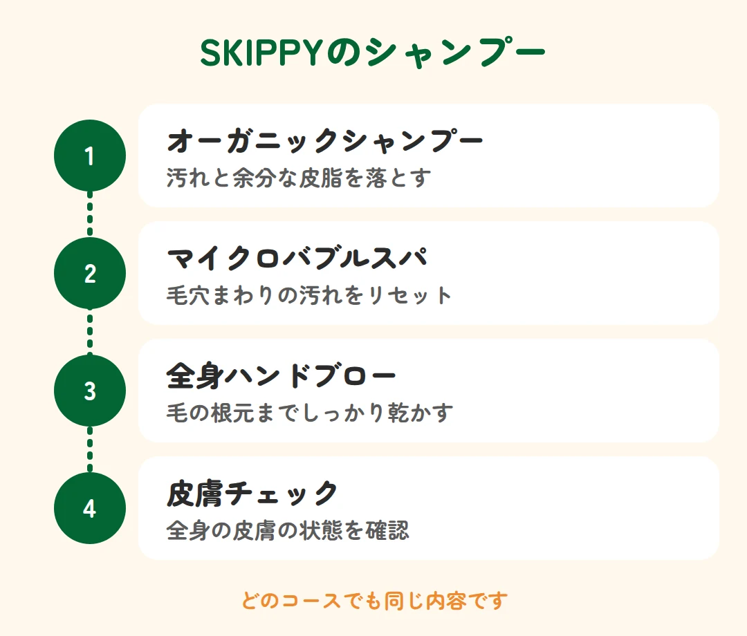 オーガニックシャンプー、マイクロバブルスパ、全身ハンドブロー、皮膚チェック