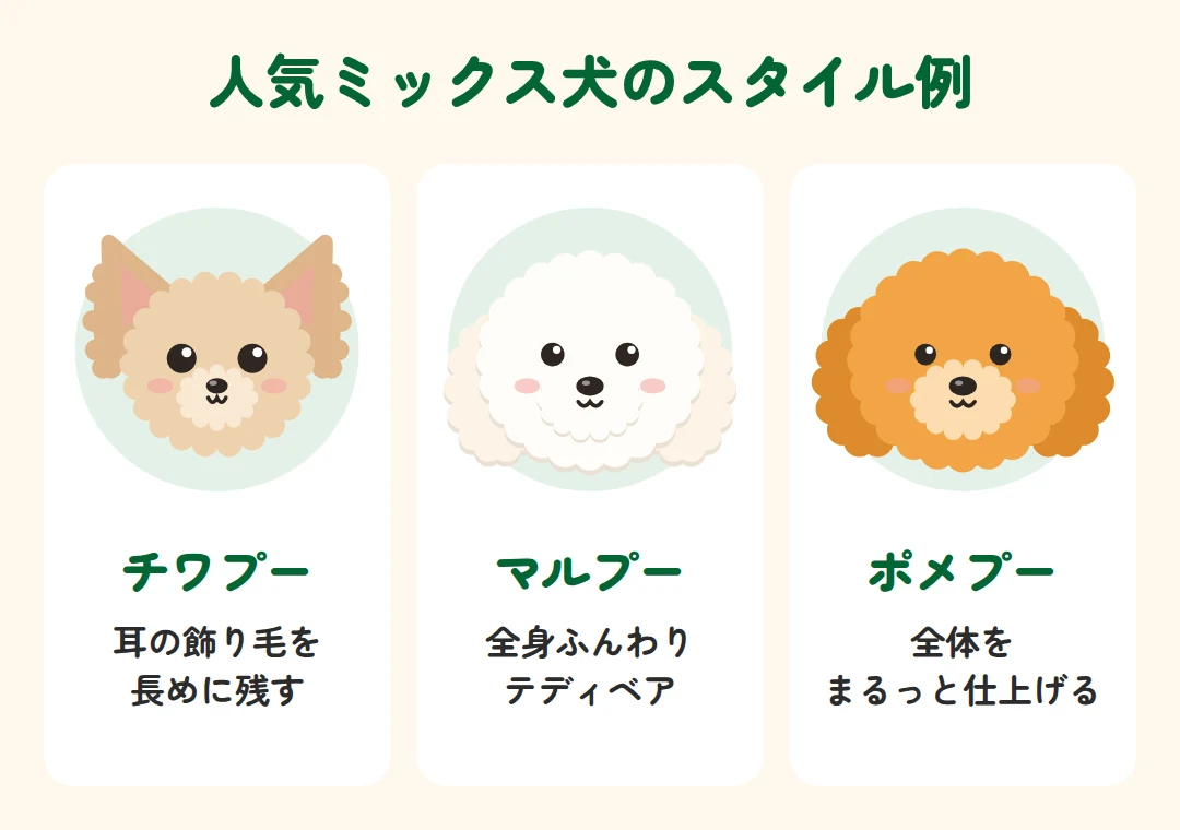 チワプーは耳の飾り毛を長めに、マルプーは全身ふんわりテディベア、ポメプーは全体をまるっと