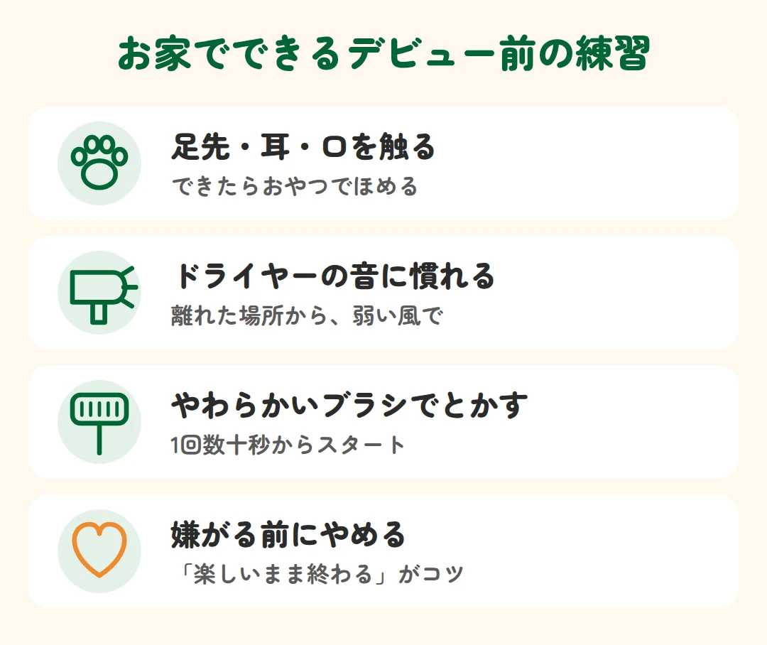 足先・耳・口を触る、ドライヤーの音に慣れる、やわらかいブラシでとかす、嫌がる前にやめる
