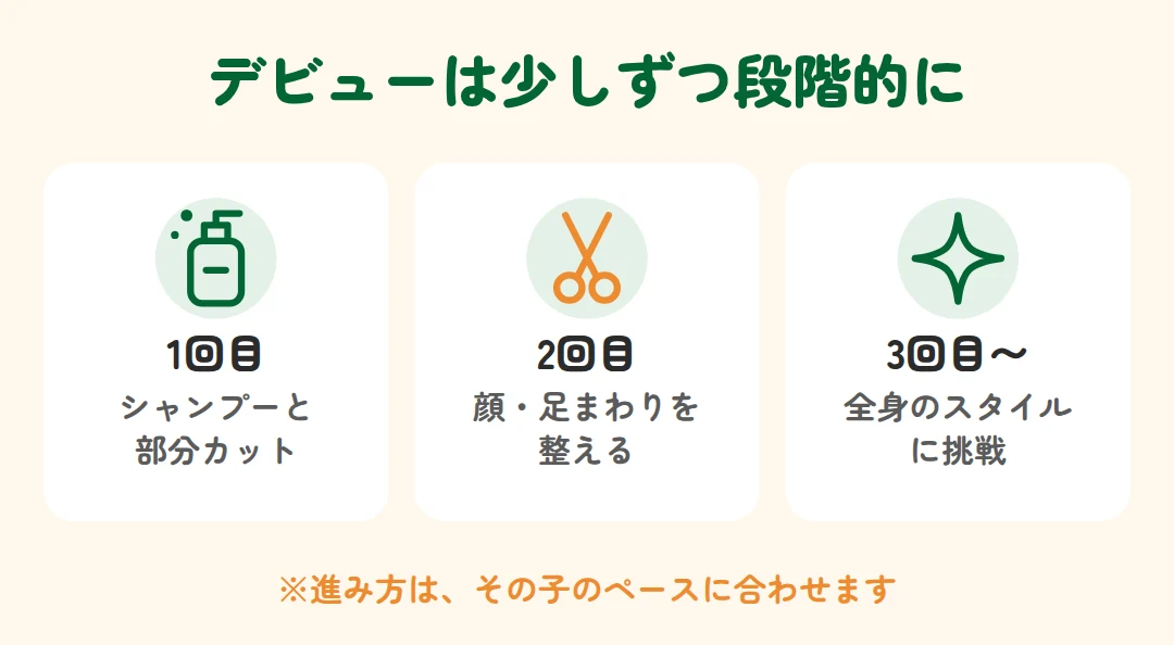 1回目はシャンプーと部分カット、2回目は顔・足まわり、3回目以降に全身のスタイルに挑戦