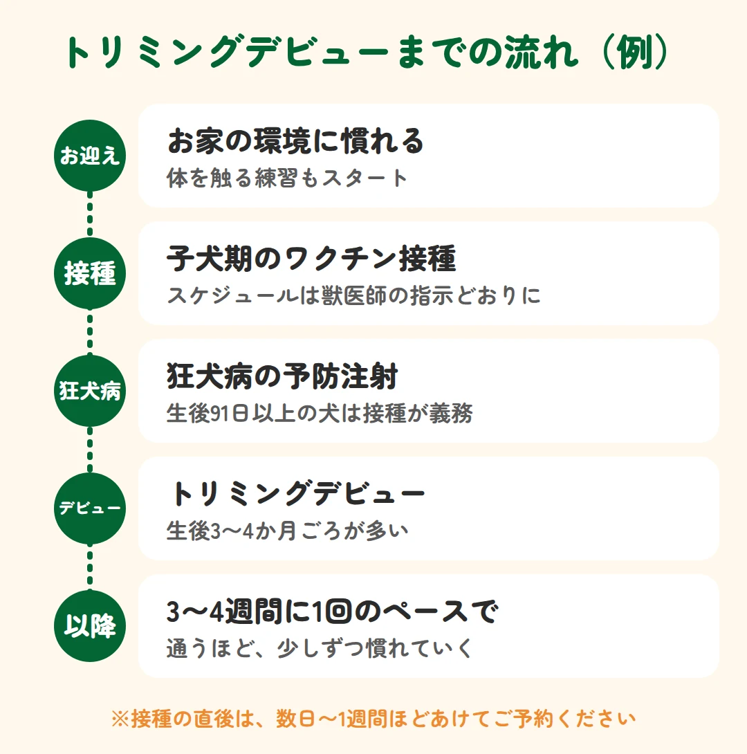 お迎えからワクチン接種、狂犬病の予防注射を経て、生後3〜4か月ごろにトリミングデビューする流れの例