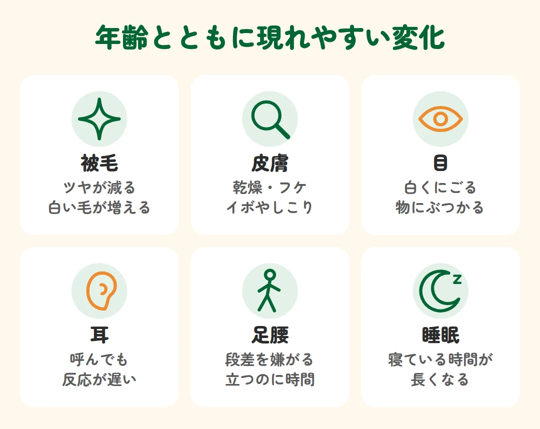 被毛、皮膚、目、耳、足腰、睡眠に現れやすい年齢による変化