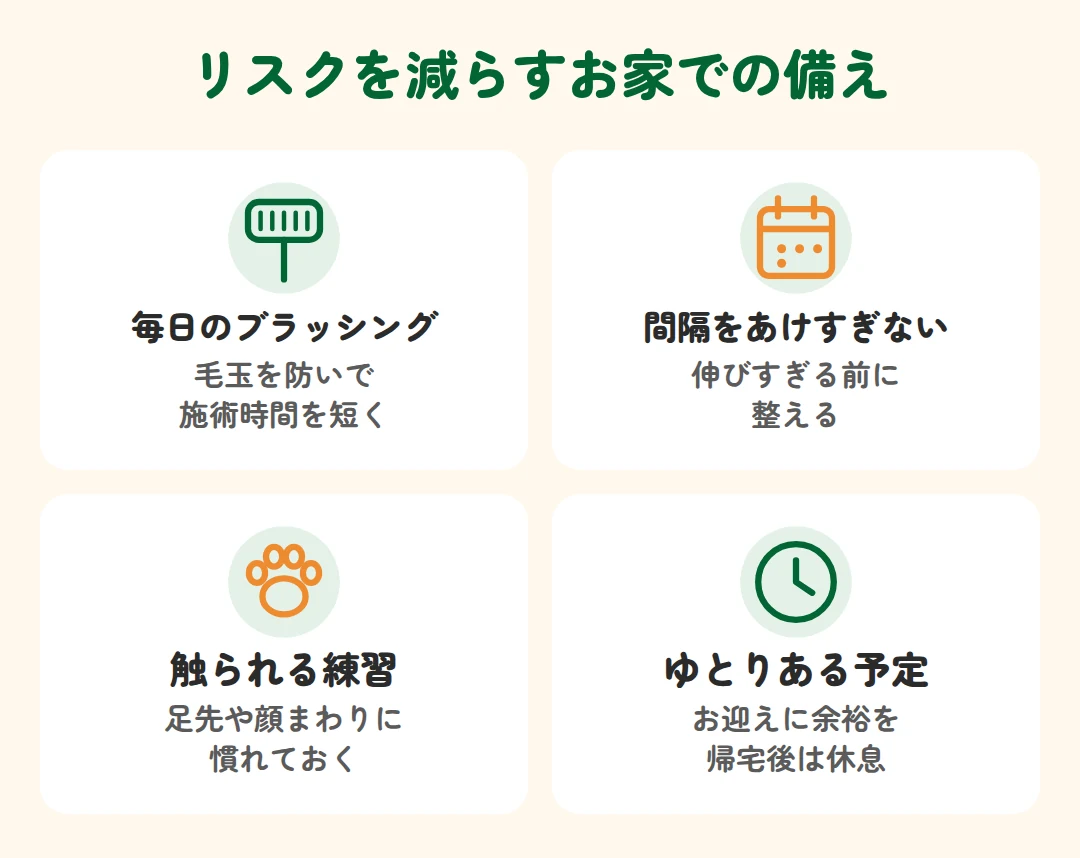 毎日のブラッシング、間隔をあけすぎない、触られる練習、ゆとりある予定
