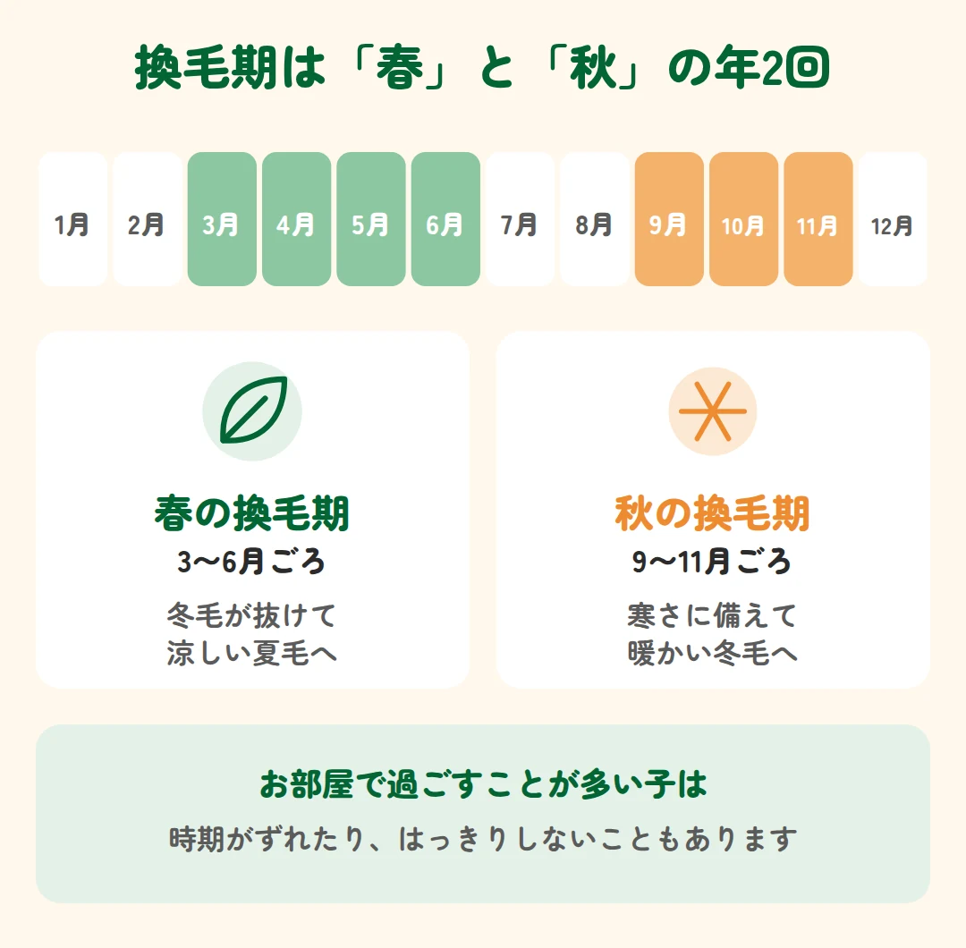 換毛期の時期:春は3〜6月ごろ、秋は9〜11月ごろ