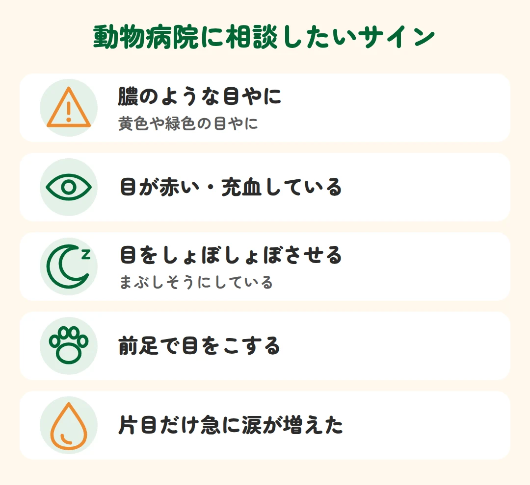 膿のような目やに、目の赤み・充血、目をしょぼしょぼさせる、前足で目をこする、片目だけ急に涙が増えた