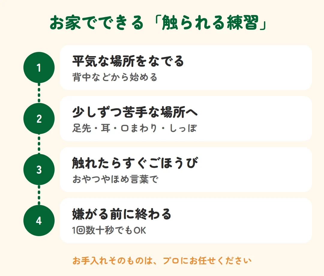 平気な場所をなでる、少しずつ苦手な場所へ、触れたらすぐごほうび、嫌がる前に終わる