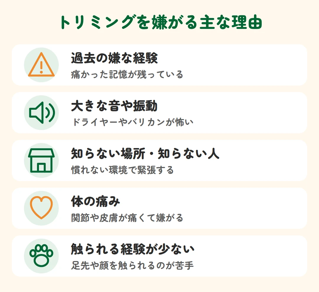 過去の嫌な経験、大きな音や振動、知らない場所や人、体の痛み、触られる経験が少ない