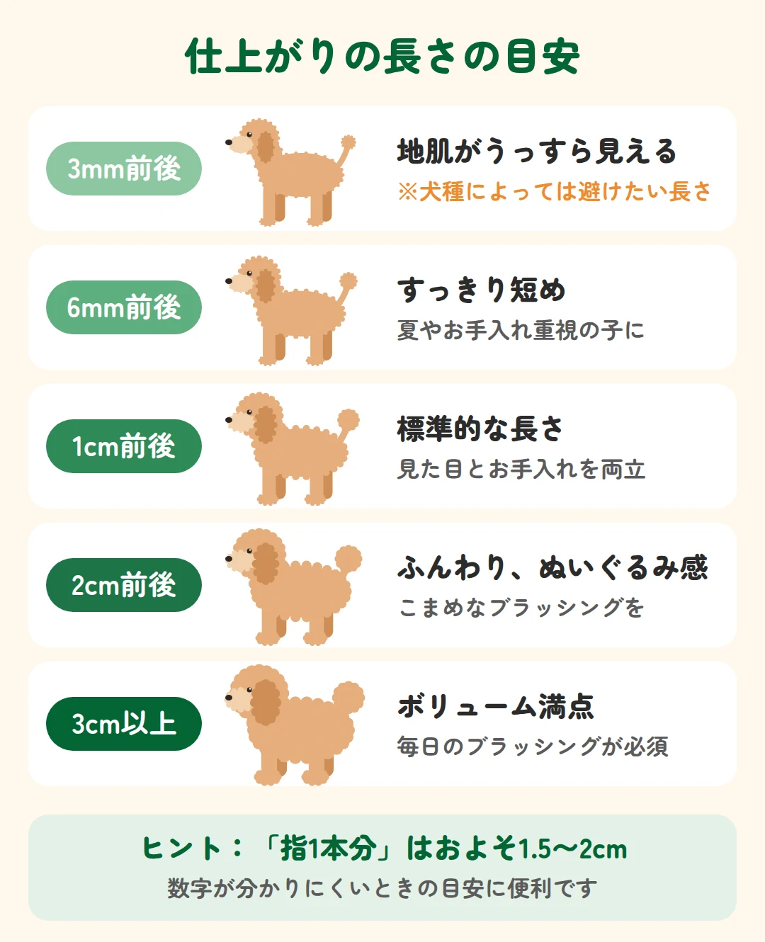 3mm前後から3cm以上まで、仕上がりの長さごとの見た目とお手入れの目安