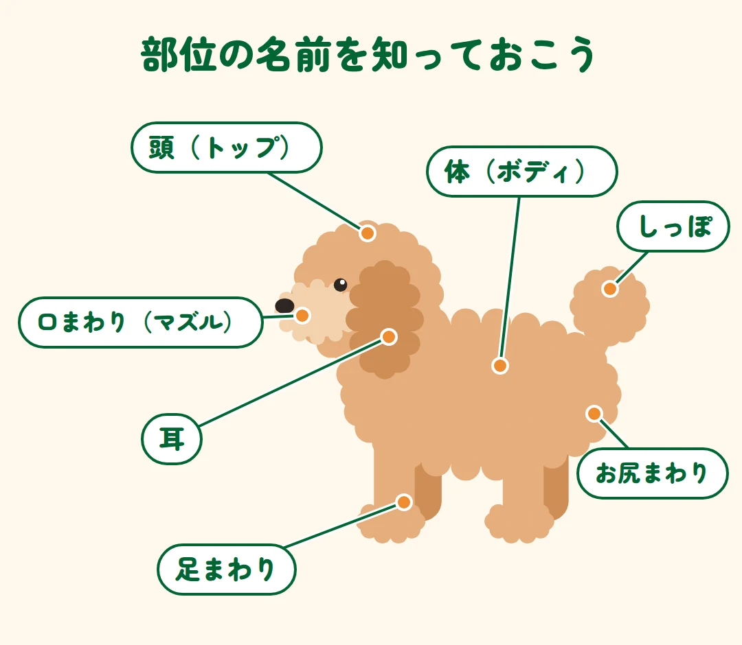 犬のイラストで示した部位の名前:頭(トップ)、耳、口まわり(マズル)、体(ボディ)、しっぽ、お尻まわり、足まわり