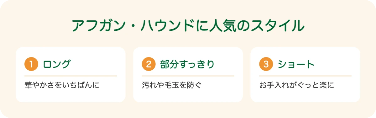 アフガン・ハウンドに人気のスタイル