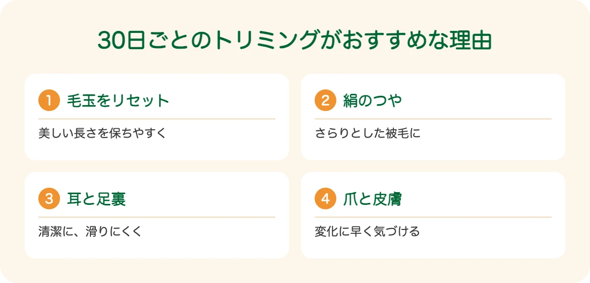 アフガン・ハウンドの30日ごとのトリミングがおすすめな理由