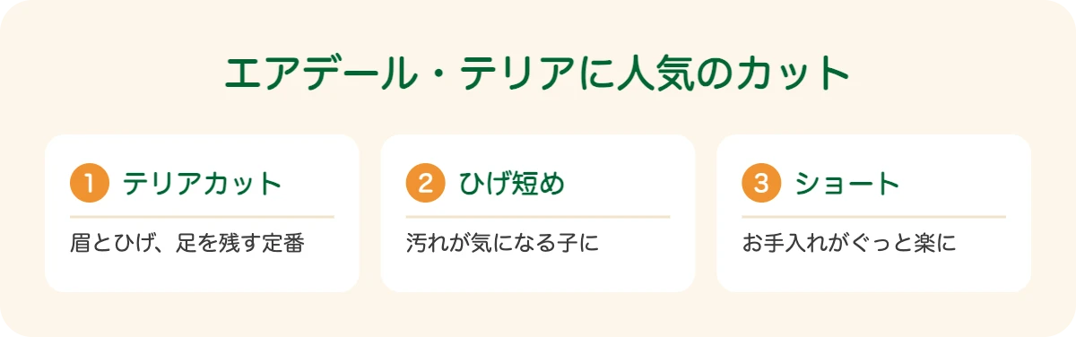 エアデール・テリアに人気のカット