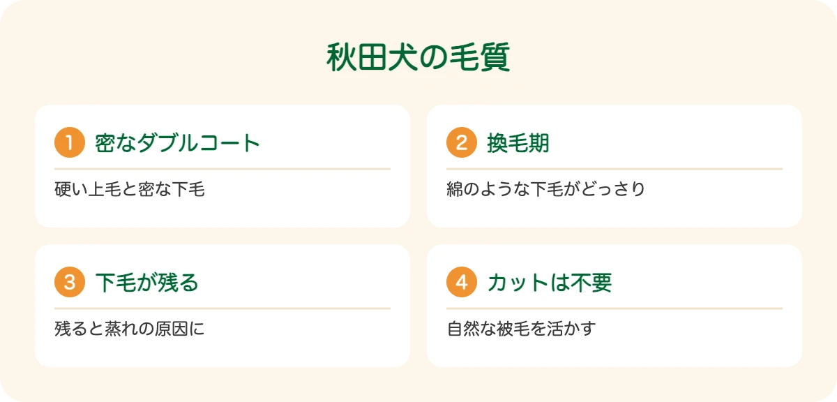 秋田犬の毛質