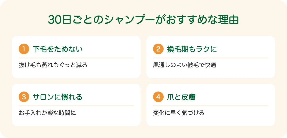 秋田犬の30日ごとのシャンプーがおすすめな理由