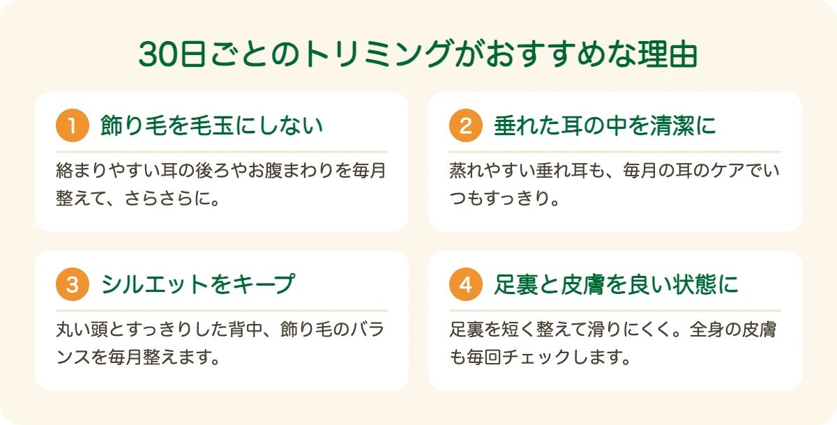 アメリカン・コッカー・スパニエルのトリミングを30日ごとにおすすめする理由