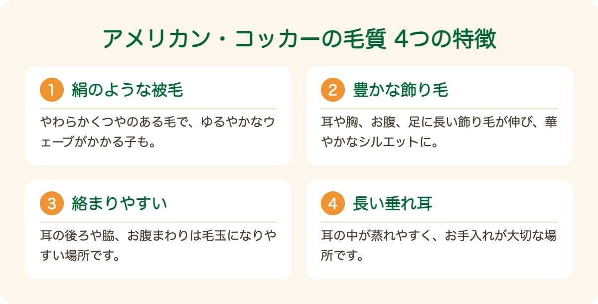 アメリカン・コッカー・スパニエルの毛質の4つの特徴