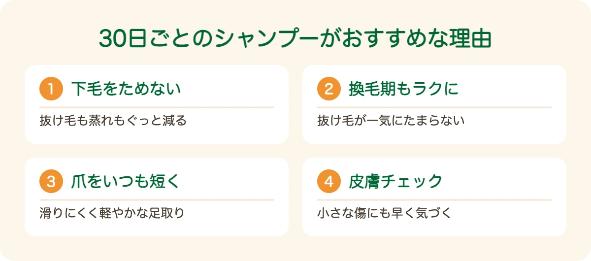 オーストラリアン・ケルピーのトリミングを30日ごとにおすすめする理由