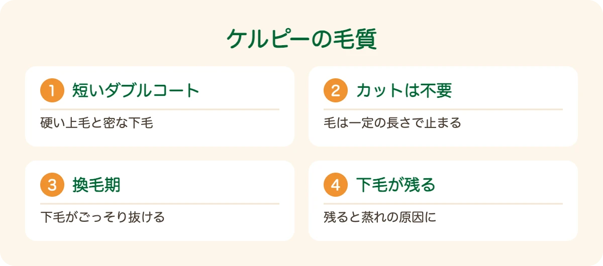 ケルピーの図解