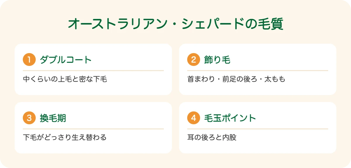 オーストラリアン・シェパードの毛質