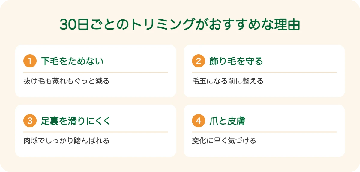オーストラリアン・シェパードの30日ごとのトリミングがおすすめな理由