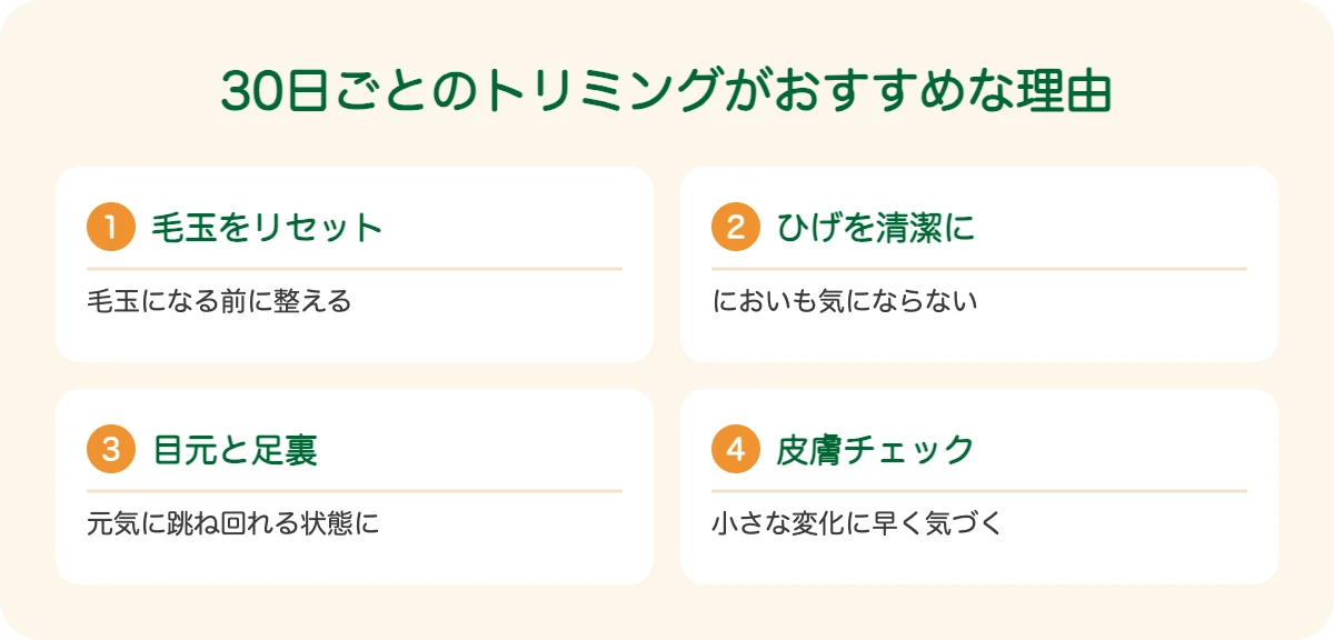 ビアデッド・コリーの30日ごとのトリミングがおすすめな理由