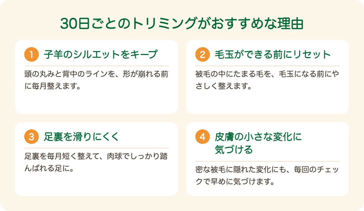 ベドリントン・テリアのトリミングを30日ごとにおすすめする理由