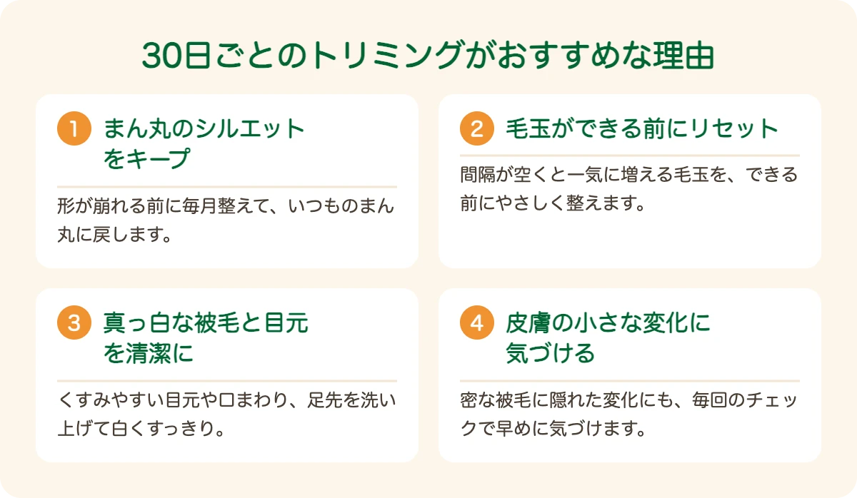 ビション・フリーゼのトリミングを30日ごとにおすすめする理由