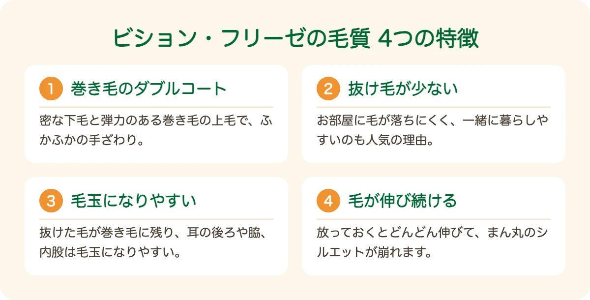 ビション・フリーゼの毛質の4つの特徴