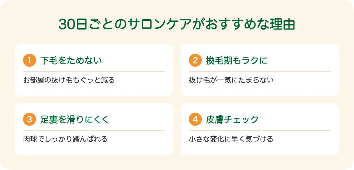 ボーダー・コリーの30日ごとのサロンケアがおすすめな理由