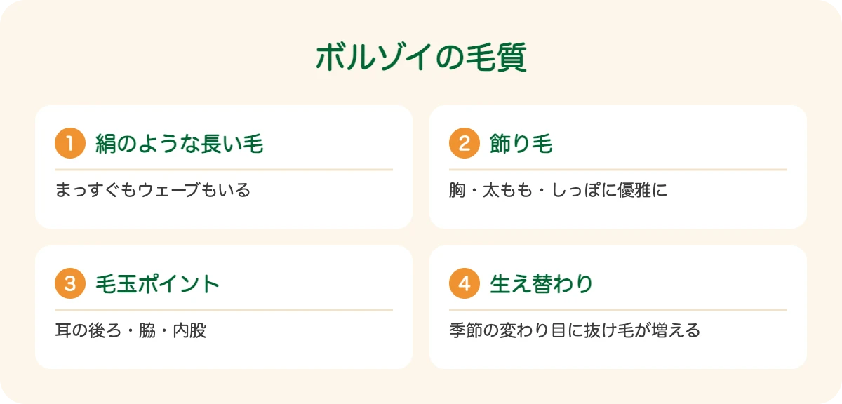 ボルゾイの毛質