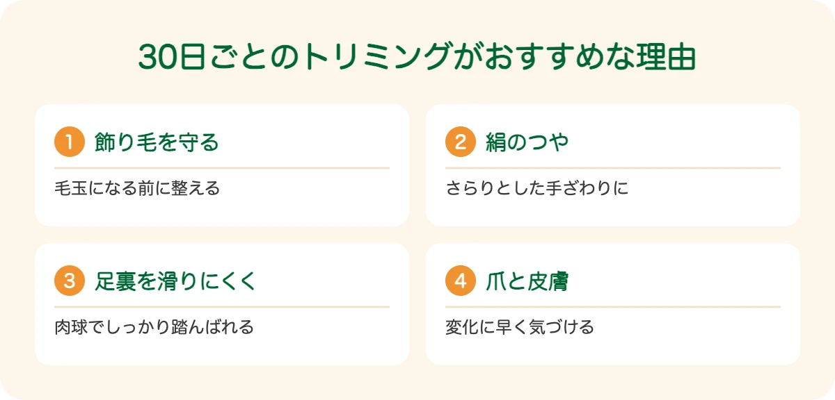 ボルゾイの30日ごとのトリミングがおすすめな理由