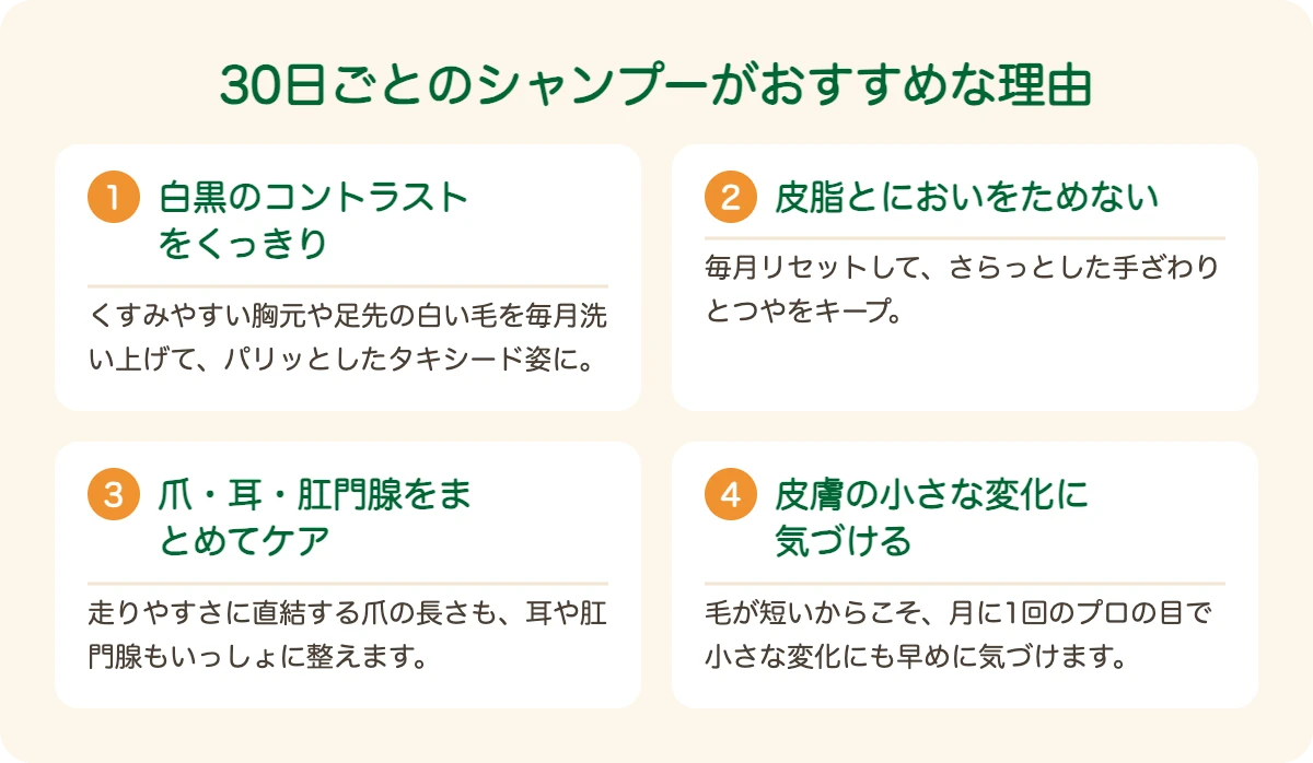 ボストン・テリアのトリミングを30日ごとにおすすめする理由