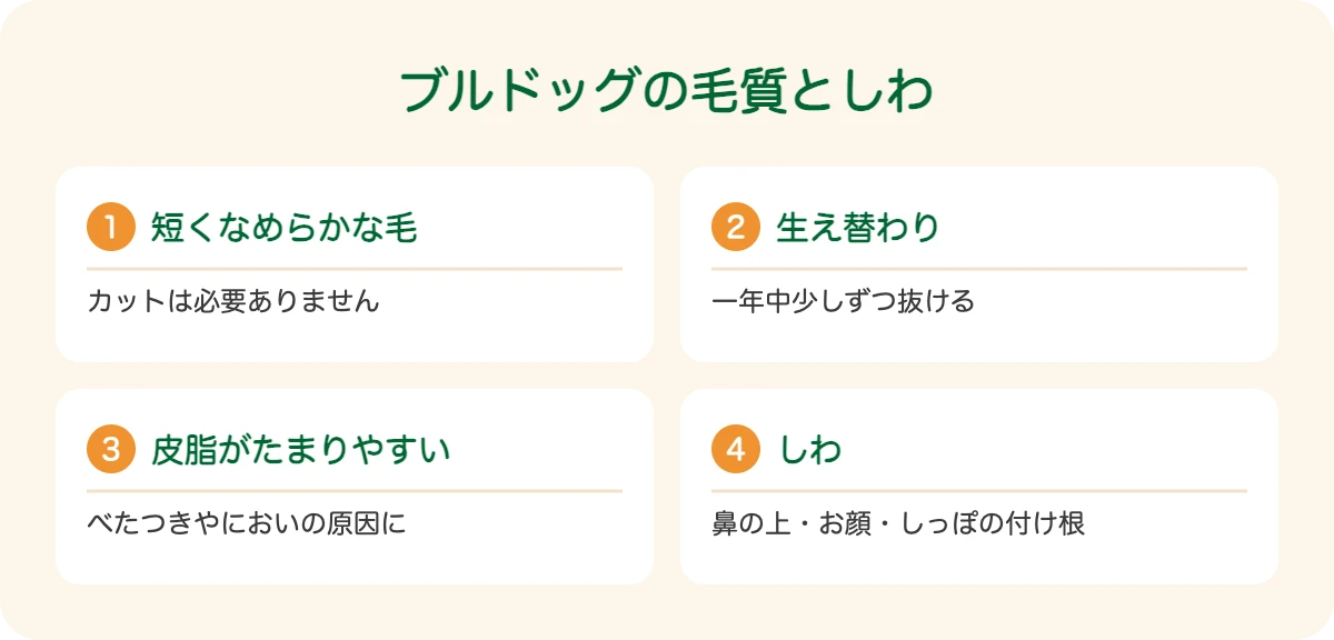 ブルドッグの毛質としわ
