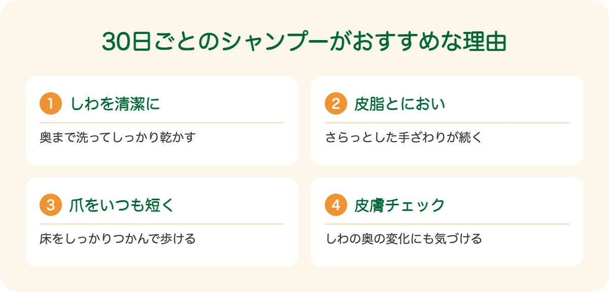 ブルドッグの30日ごとのシャンプーがおすすめな理由