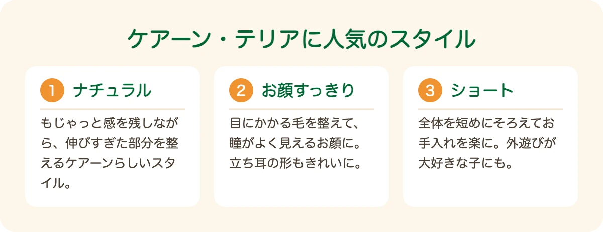 ケアーン・テリアに人気のスタイル（ナチュラル・お顔まわりすっきり・ショート）