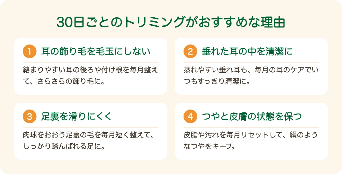 キャバリアのトリミングを30日ごとにおすすめする理由