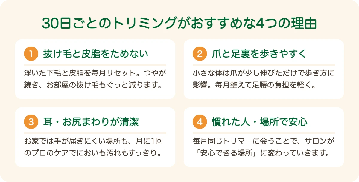 チワワのトリミングを30日ごとにおすすめする4つの理由