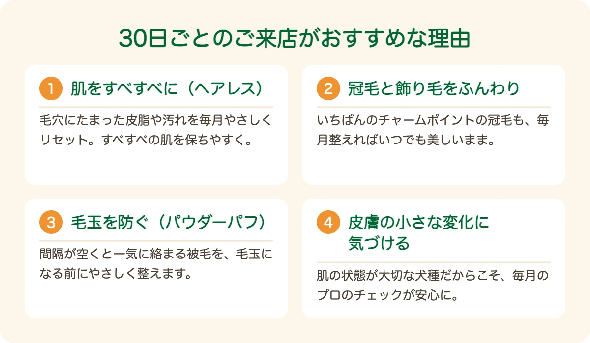 チャイニーズ・クレステッド・ドッグのトリミングを30日ごとにおすすめする理由
