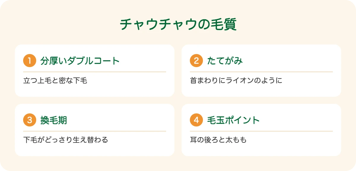 チャウチャウの毛質