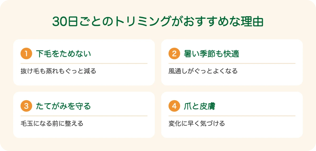 チャウチャウの30日ごとのトリミングがおすすめな理由
